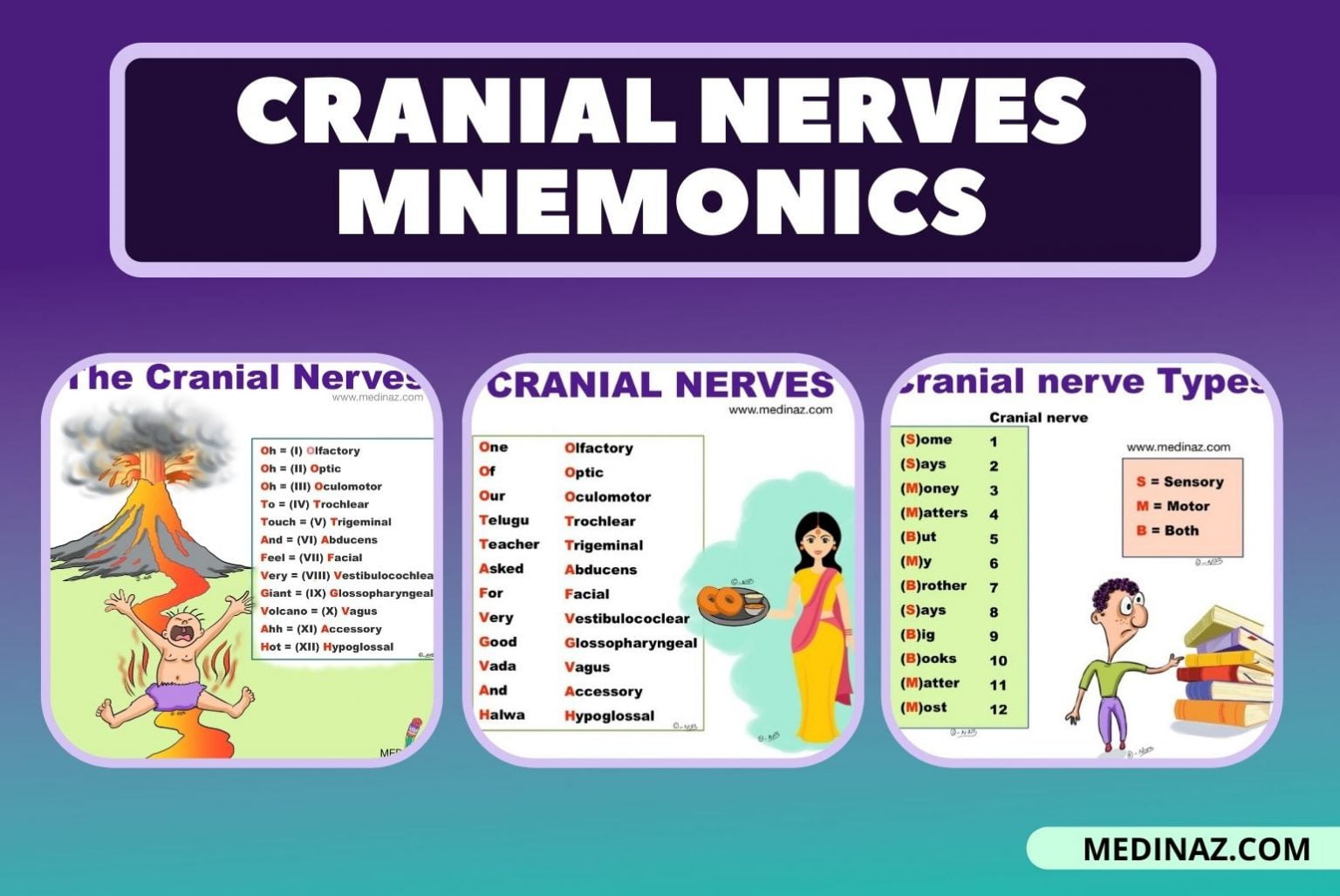 Cranial Nerves Mnemonics Anatomy Simplified