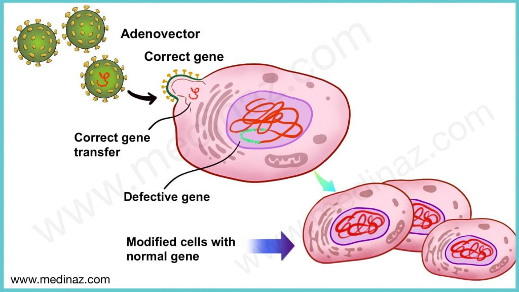 Zolgensma mechanism of action