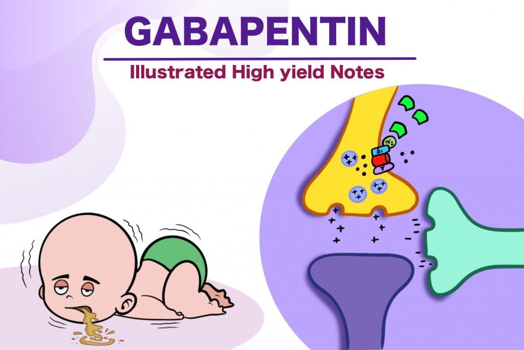 Gabapentin Side Effects Mechanism Of Action Uses High Yield Notes   Gabapentin High Yield Pharmacology Notes 1024x685 