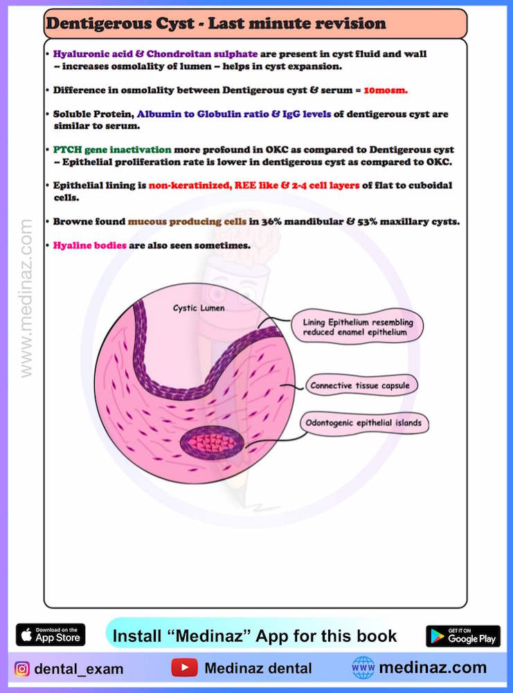 Eruption Cyst Histology