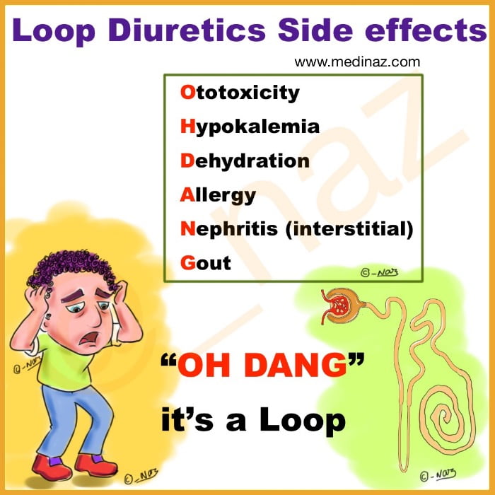 Loop diuretics side effects mnemonic