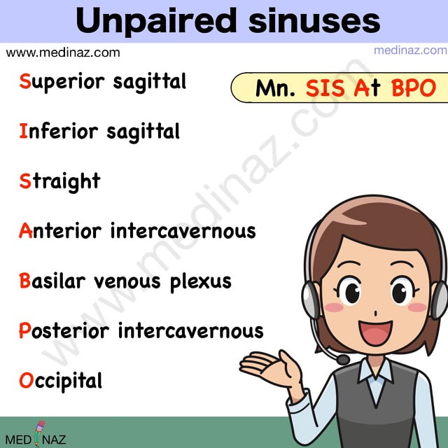 Unpaired Sinuses mnemonic