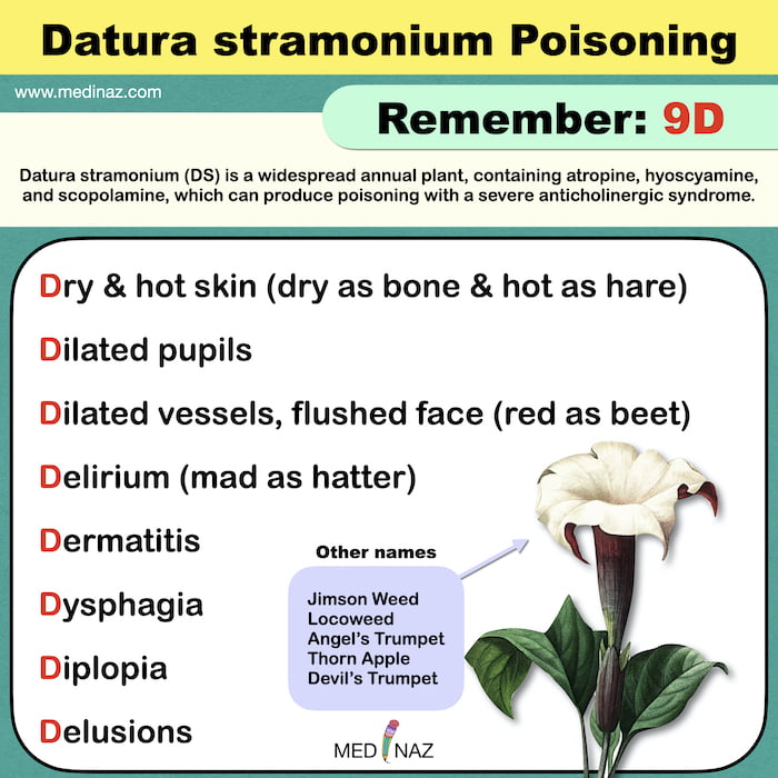 Datura Poisoning mnemonic