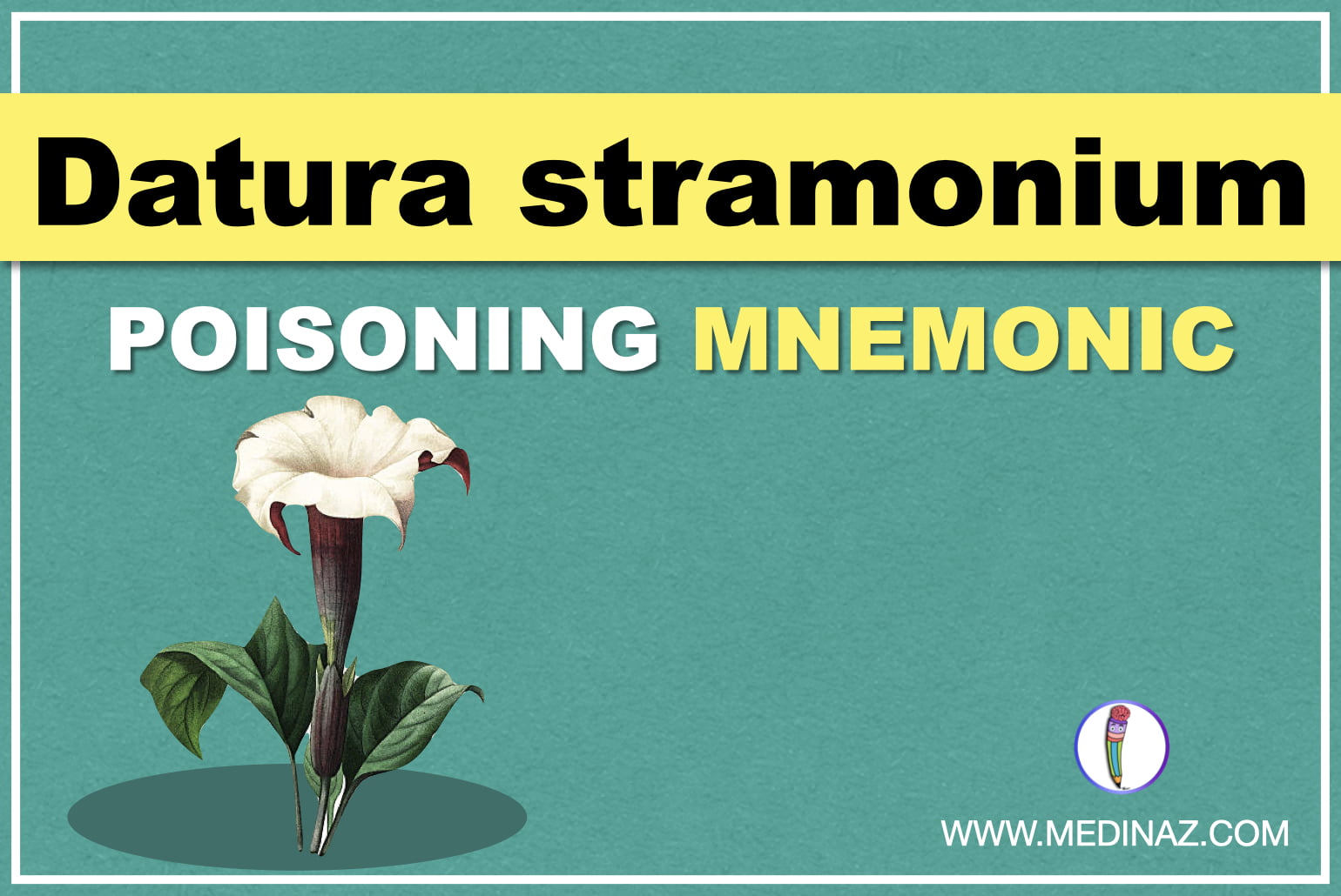 Datura stramonium poisoning mnemonic