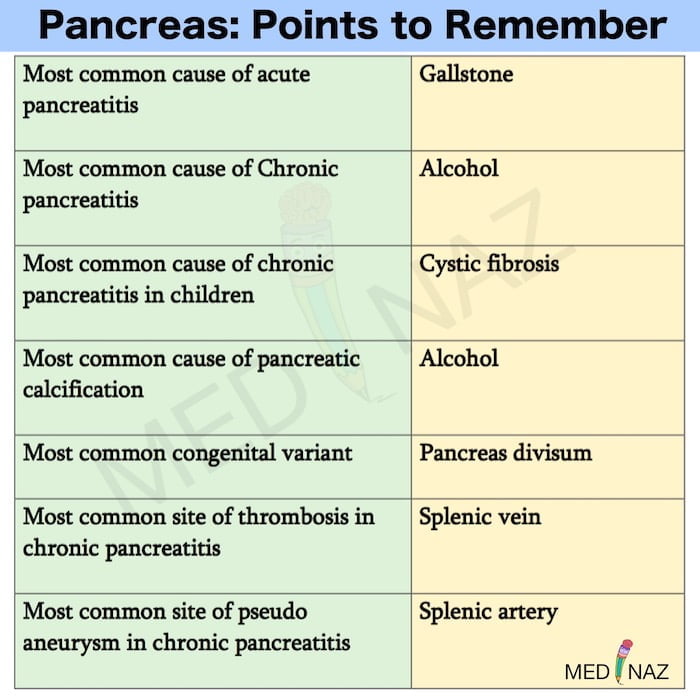 Pancreas high-yield points for USMLE/ NEET PG