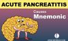 Pancreatitis mnemonic | Mnemonic for Acute pancreatitis