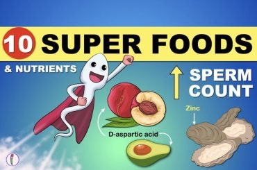Foods to increase sperm
