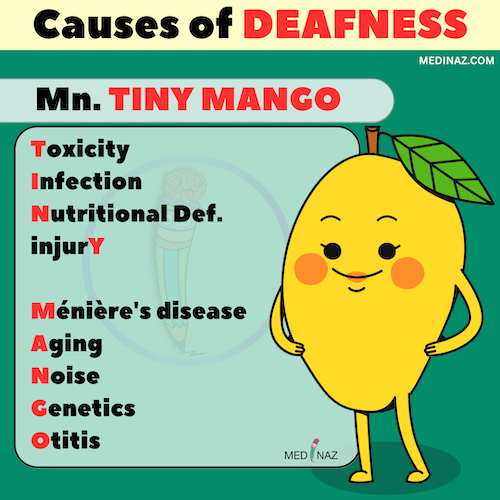 DEAFNESS Causes Mnemonic