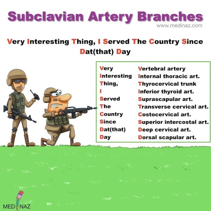 Subclavian Artery Branches Mnemonic