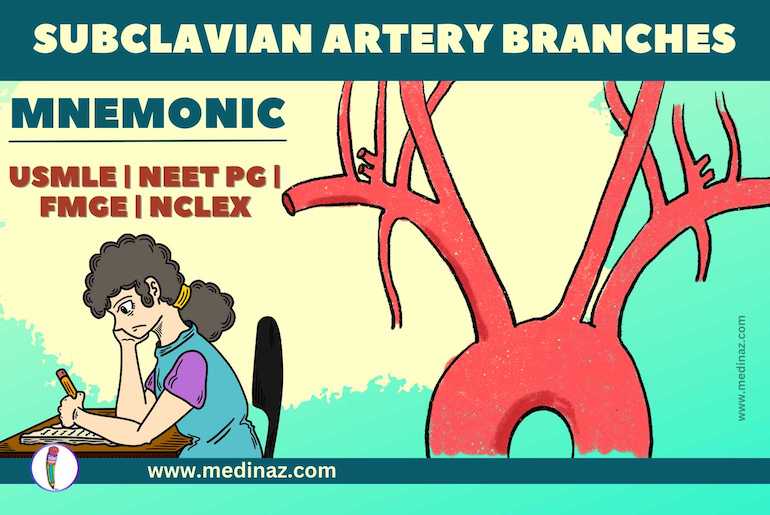 Subclavian Artery Branches