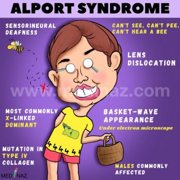 Alport Syndrome USMLE Notes