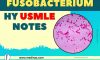 Fusobacterium USMLE Notes