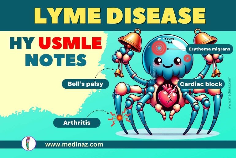 Lyme Disease USMLE