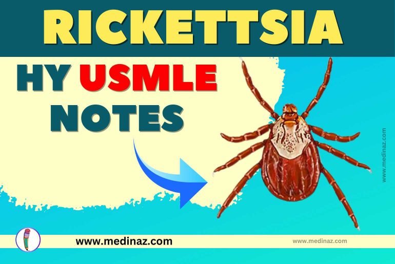 Rickettsia USMLE Notes