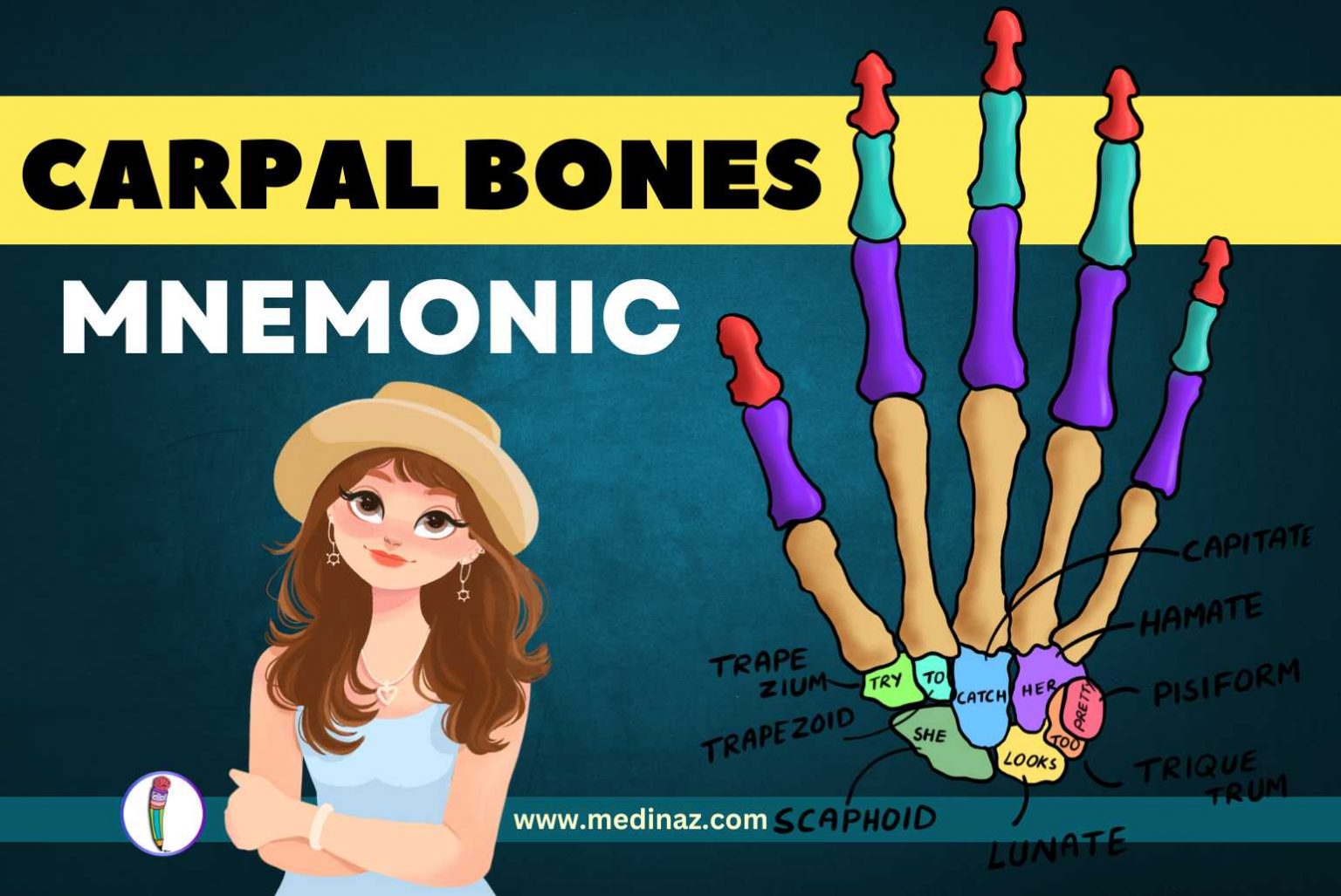 Mnemonic wrist bones (Carpal bones Mnemonic)