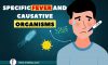 Fever and causative organisms