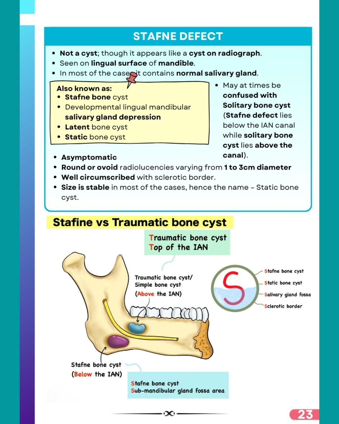 Last Bite Oral Pathology & Medicine (NEET-MDS) Pre-booking