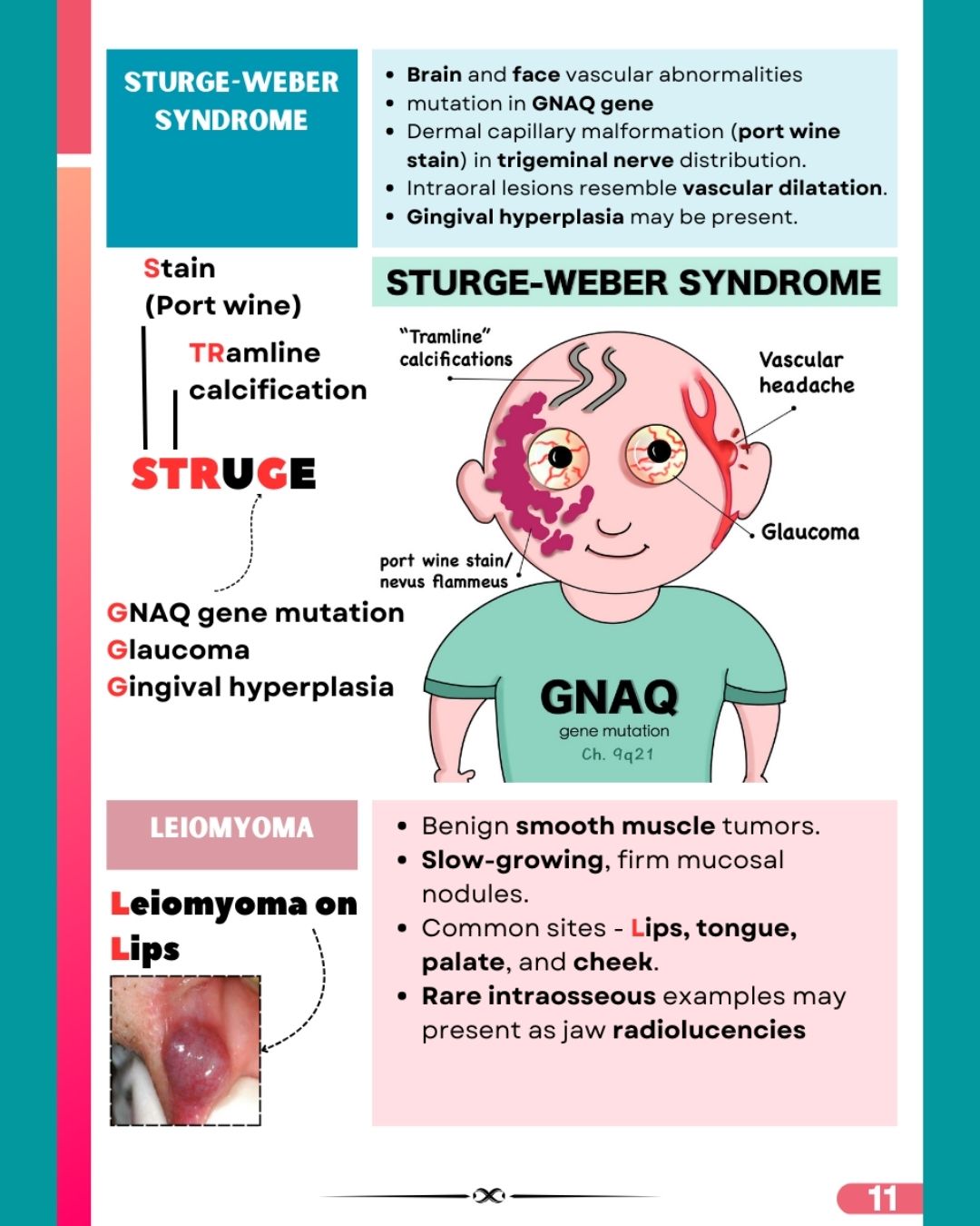 Last Bite Oral Pathology & Medicine (NEET-MDS) Pre-booking