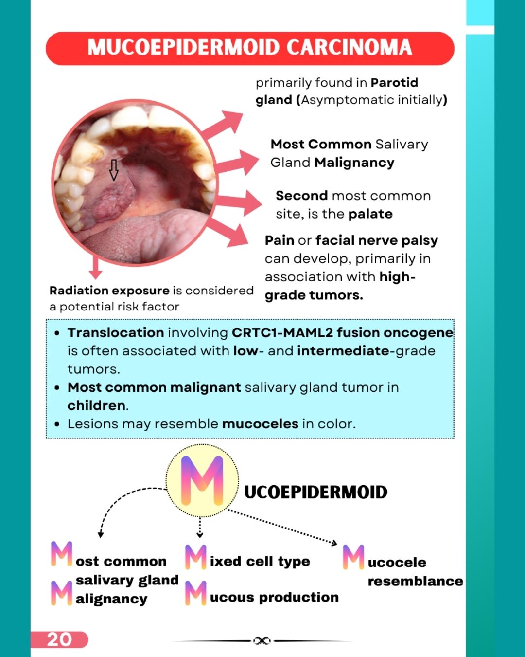 Last Bite Oral Pathology & Medicine (NEET-MDS) Pre-booking